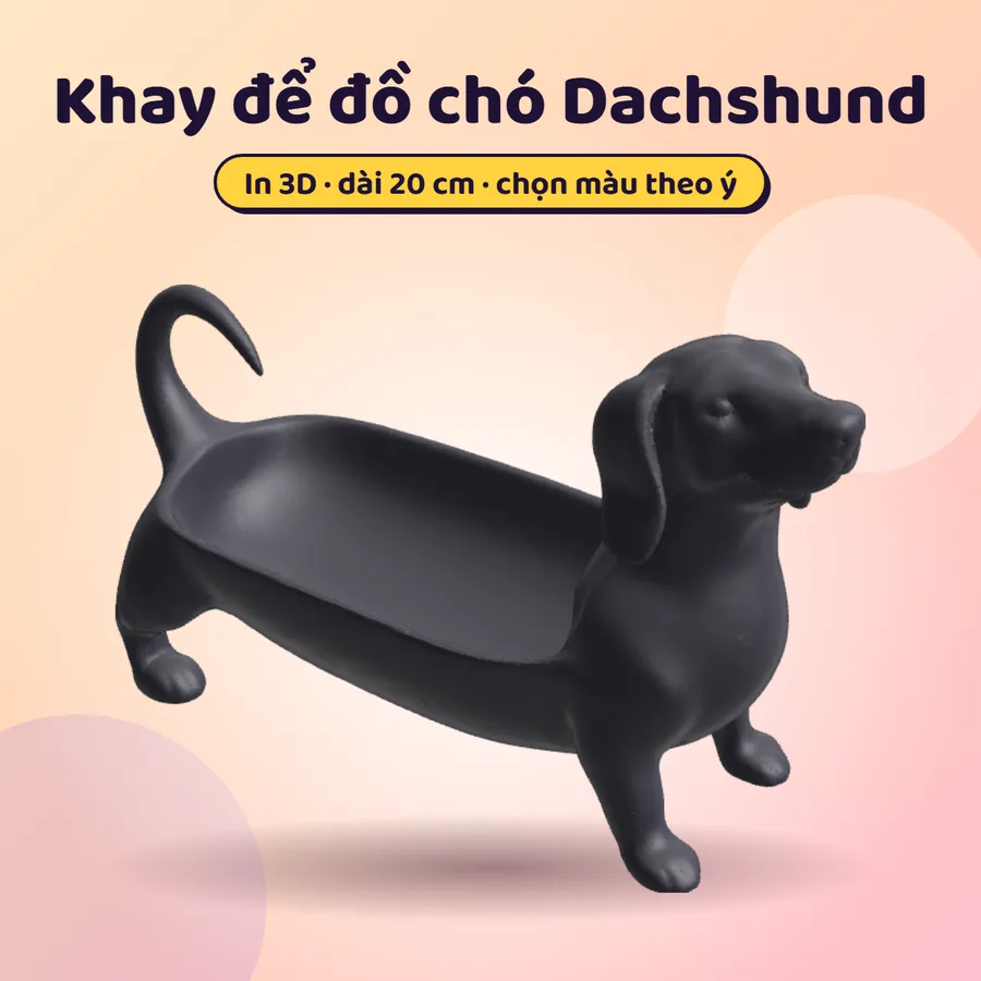 Khay để đồ chó Dachshund